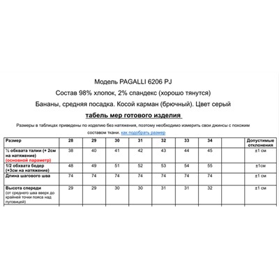 Мужские джинсы PAGALEE 6206