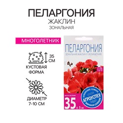 Семена цветов Пеларгония "Жаклин", красная с коричневым листом, F1, 4 шт