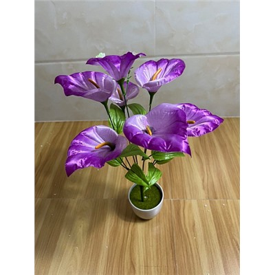 Каллы цветные (6-7 цветков) 48 см