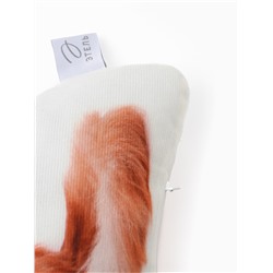 Подушка декоративная «Этель» Ginger cat, 40×33 см, велюр