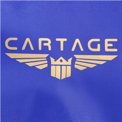 Термосумка Cartage Т-12, синяя, 18 л, 35×21×24 см