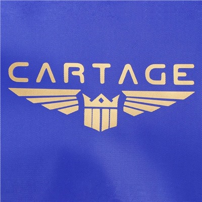 Термосумка Cartage Т-12, синяя, 18 л, 35×21×24 см