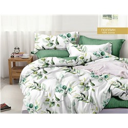 Постельное белье из поплина cтандарт ПВ27-1445