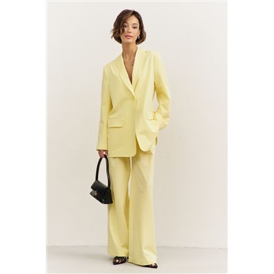 Брюки, жакет RINKA 1483/1 желтый
