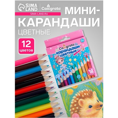 Карандаши Calligrata «Принцесса», цветные, 12 цветов деревянные, трёхгранные, мини
