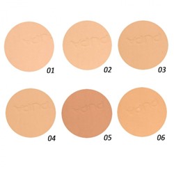 Пудра для лица PP Silk Touch Compact Powder 02