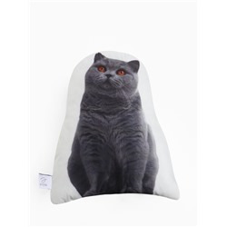 Подушка декоративная «Этель» Scottish cat, 40×33 см, велюр
