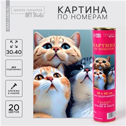 Картина по номерам в тубусе «Котята», 30×40 см