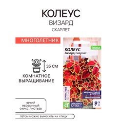 Семена комнатных цветов Колеус "Скарлет", ц/п,  5 шт.