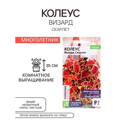 Семена комнатных цветов Колеус "Скарлет", ц/п,  5 шт.