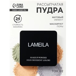 Пудра рассыпчатая LAMEILA тон 2