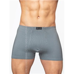 SD2060-2 Трусы мужские Salvador Dali боксеры