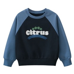 TSKIDS Толстовка утепленная   K2702
