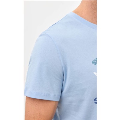 Футболка F311-06-734 grey-blue