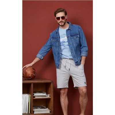 Футболка F311-06-734 grey-blue