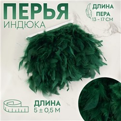 Тесьма с перьями индюка, 13-17 см, 5±0.5 м, зелёная