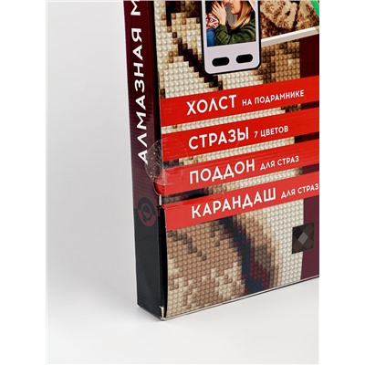 УЦЕНКА Алмазная мозаика по фото, на раме 40×50, полное заполнение, Vintage