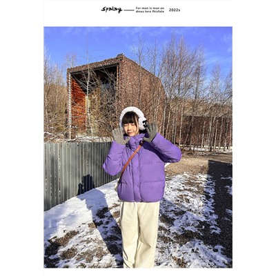 Пуховик 2209