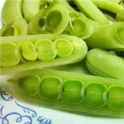 Снеп Горох Цветок Магнолии — Snap Magnolia Blossom Pea (10 семян)