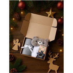 Набор подарочный новогодний «Этель» Merry Christmas: плед и аксессуары