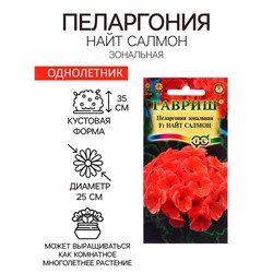 Семена Пеларгония "Найт Салмон", ц/п,  F1, зональная, 4 шт