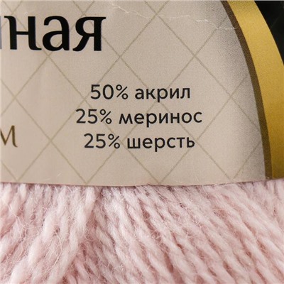 Пряжа для вязания спицами, крючком «Камтекс. Воздушная», 25% мериносовая шерсть, 25% шерсть, 50% акрил, 370м/100 г, (067 пудра)