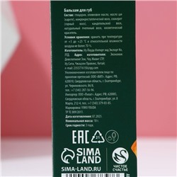 Бальзам для губ ЧИСТОЕ СЧАСТЬЕ в коробке, 10 г, аромат мандарина, Новый Год