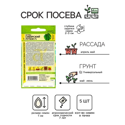 Семена Огурец "Сибирский Пучок", F1, 5 шт