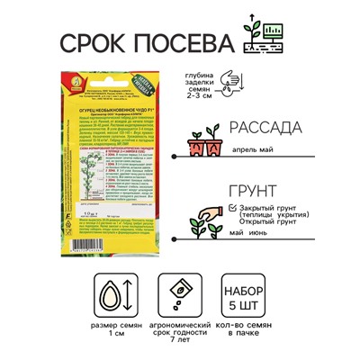 Семена Огурец "Необыкновенное чудо" F1, раннеспелый, партенокарпический,набор 5 шт