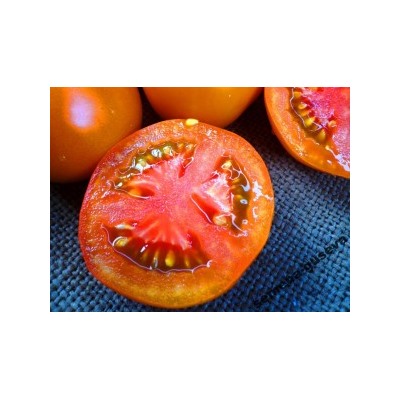 Помидоры — Pink Grapefruit Вi-Color (10 семян)