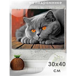 Алмазная мозаика «Британец», 30 × 40 см, на подрамнике