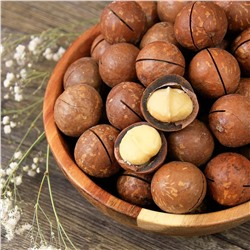 Макадамия сырая