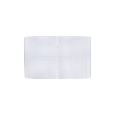 Тетрадь 48 листов, в клетку, Color Surf, МИКС