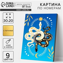 Картина по номерам на новый год «Змея день и ночь», 20×30 см, набор для творчества
