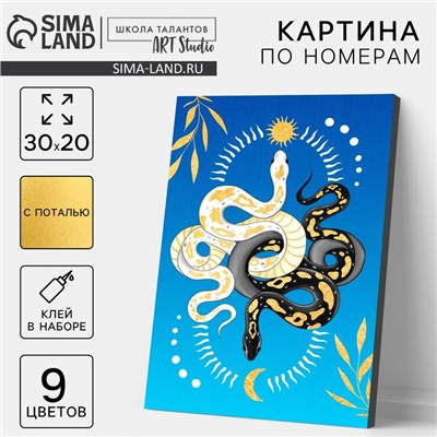 Картина по номерам на новый год «Змея день и ночь», 20×30 см, набор для творчества