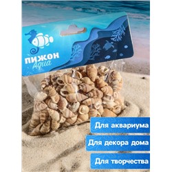 Набор ракушек 100 г
