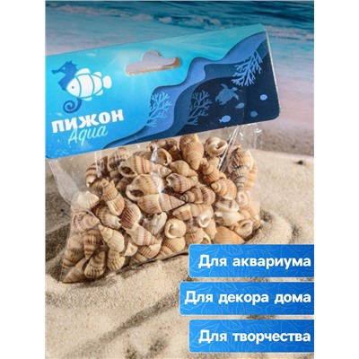 Набор ракушек 100 г