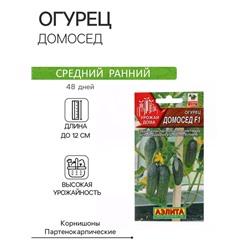 Семена огурца "Домосед", F1, 7 шт.