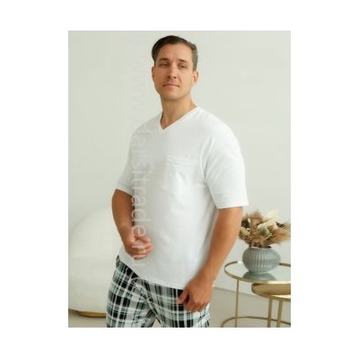 Футболка мужская №1900M-20050 Almando Melado Дроп