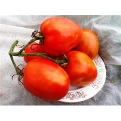 Помидоры Бочковой Засол (10 семян)