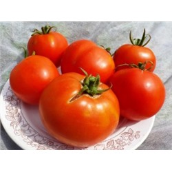 Помидоры Bonny Best — Бонни Бест (10 семян)