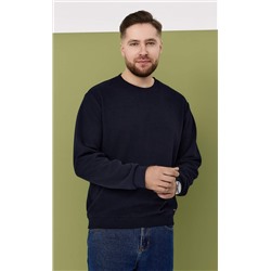 Свитшот F421-07-3201 d.blue