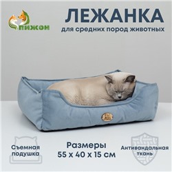 Лежанка, велюр, 55×40×15 см, голубая