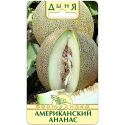 Дыня Американский Ананас