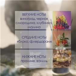 Диффузор ароматический Hygge #7 Виноград мускат 100 мл