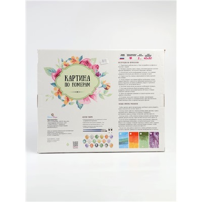 УЦЕНКА Картина по номерам 40*50 "Дружба" 7 цветов