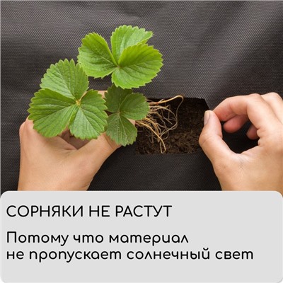 Материал мульчирующий, 5×0.8 м, плотность 80 г/м², с УФ-стабилизатором, чёрный, Greengo, Эконом 30%