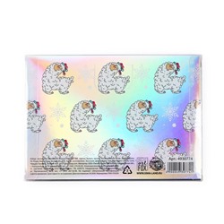 Подарочный набор новогодний, голографический блокнот и обложка на паспорт, Hello winter