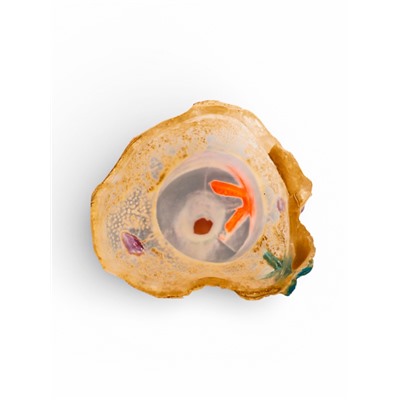 Декор для аквариума «Бутылка», 6×5.5×11.5 см