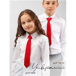 Соль&Перец Галстук